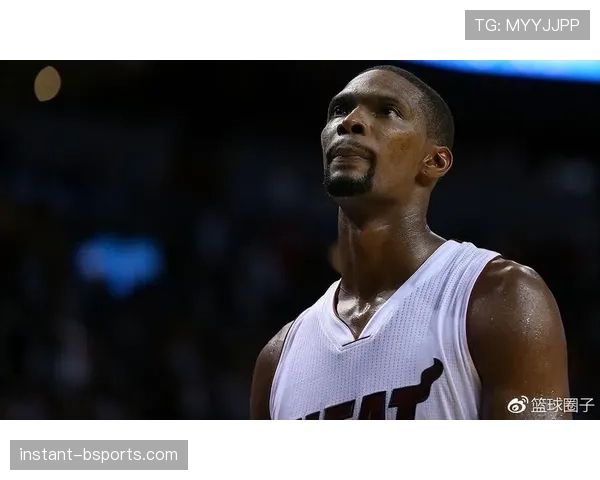 克里斯·波什挡拆拉开空挡提升队友三分命中率明显